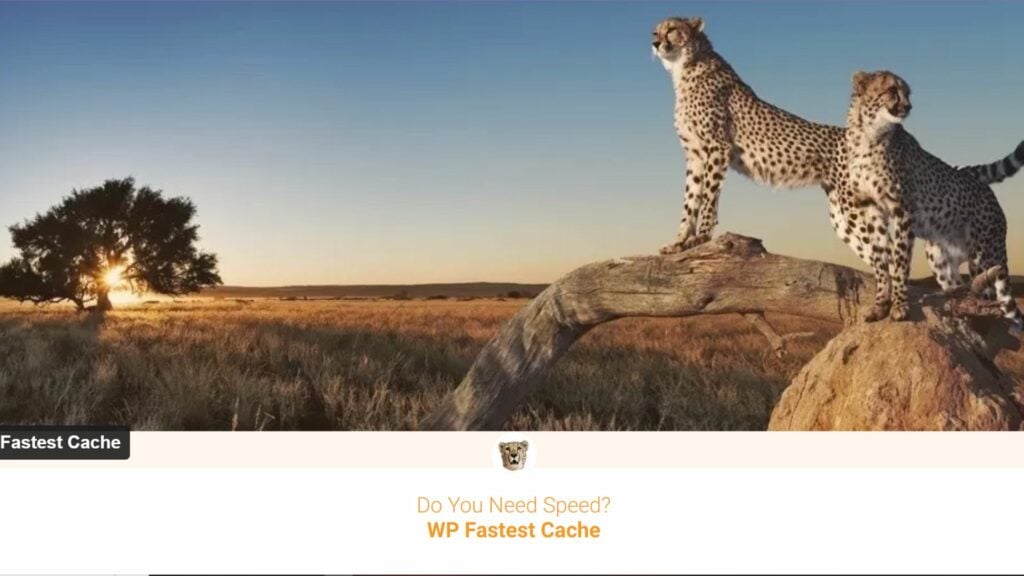 WP Fastest Cache