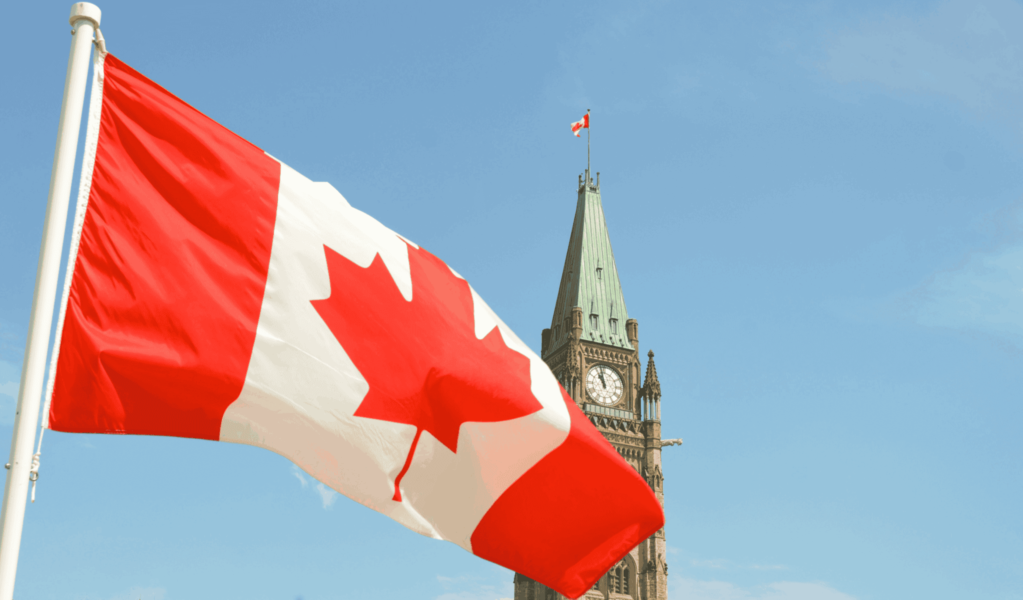 best seo companies in canada