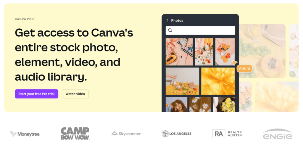 canva pro graphics library