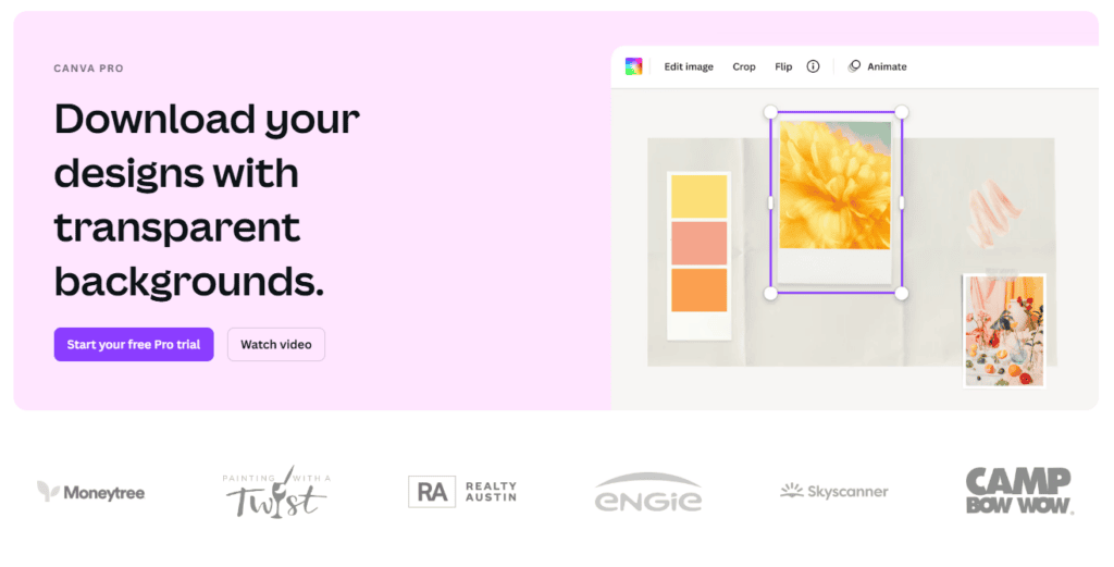 canva pro transparent backgrounds