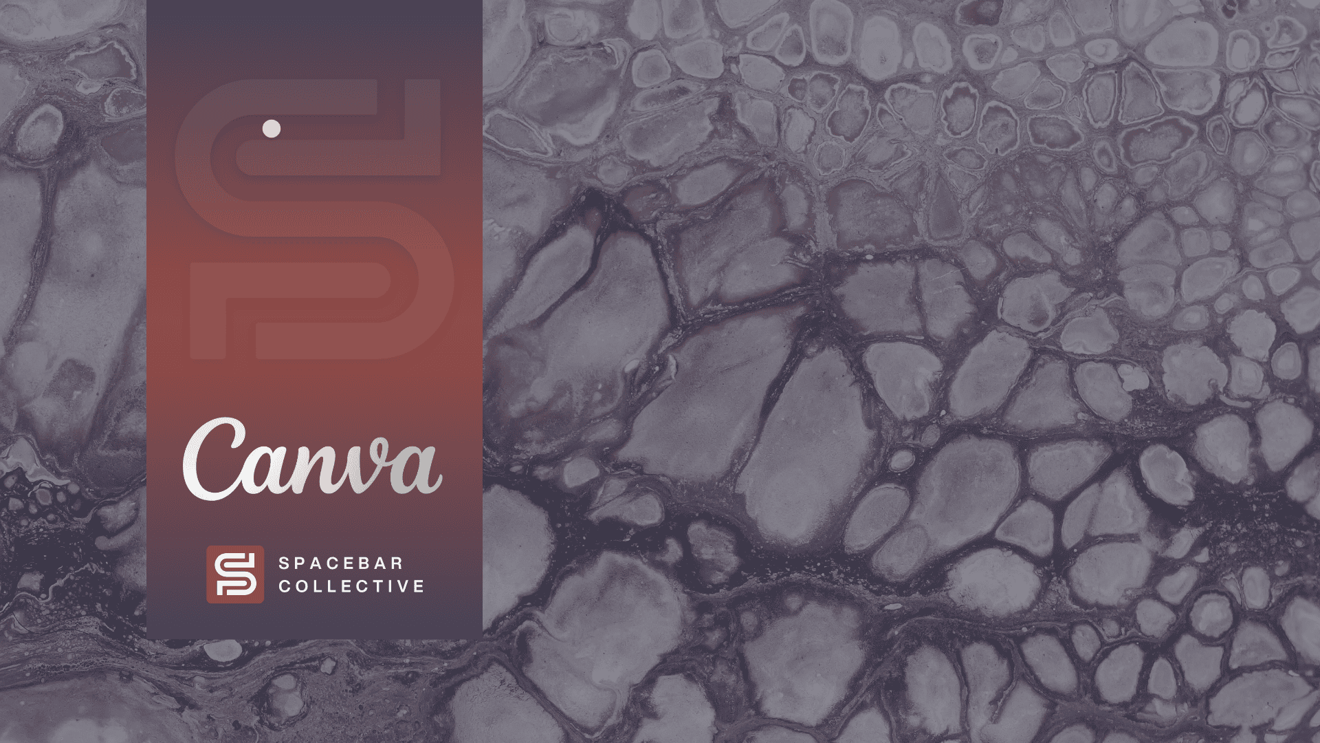 canva pro