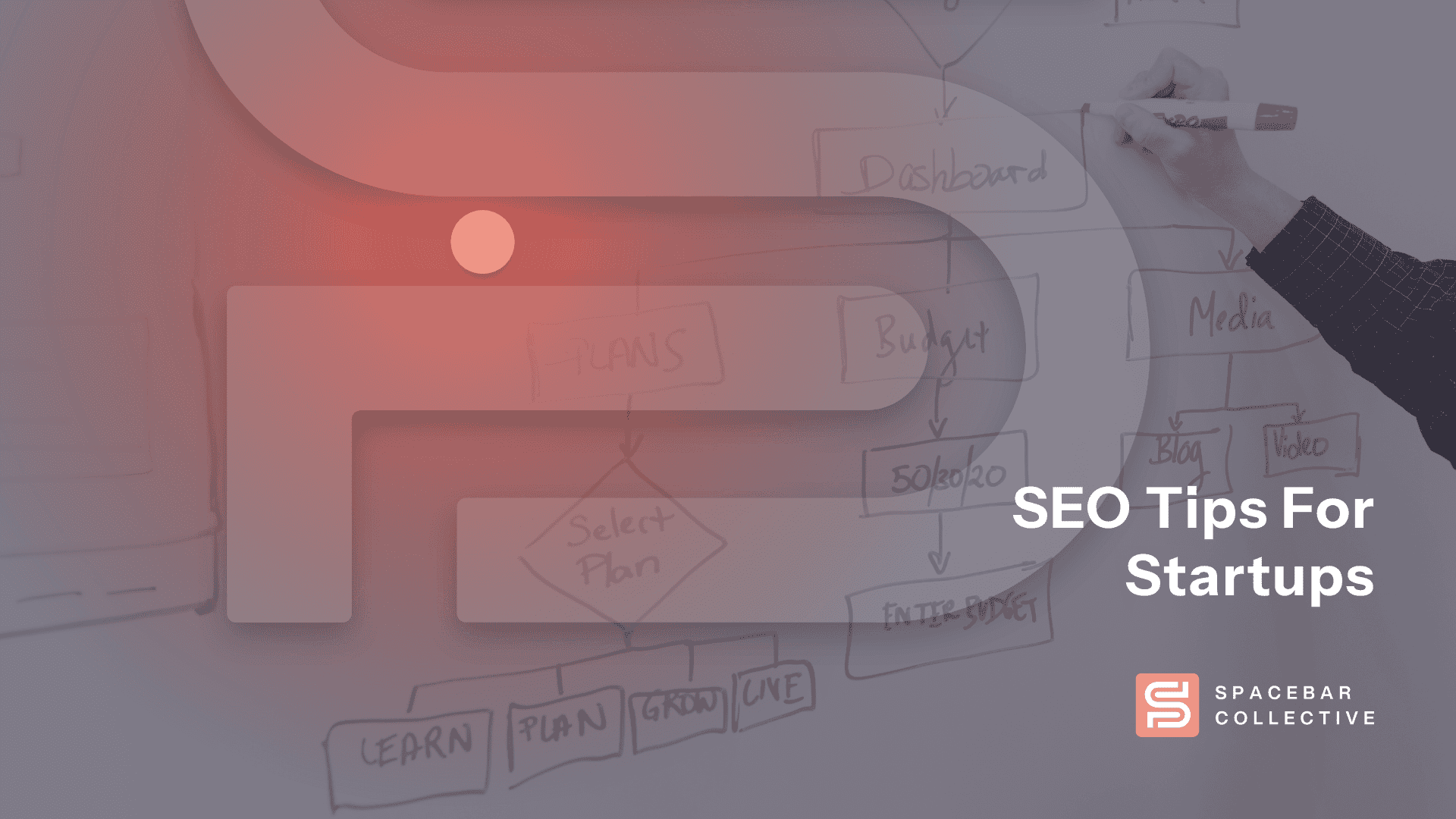 SEO tips for startups